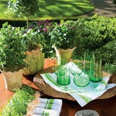 Tabletop Topiaries on Outdoor Dining Table