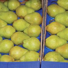 Luscious Pears