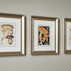 Eclectic Framed Mushroom Prints