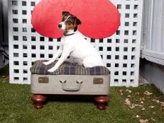 DIY Craft: Old Luggage as Dog Bed