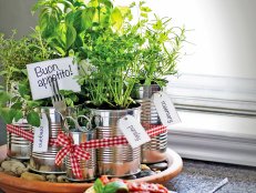 Kitchen Countertop Herb Garden With Upcycled Aluminum Cans