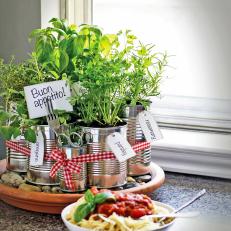 DIY Kitchen Countertop Herb Garden With Plant Labels