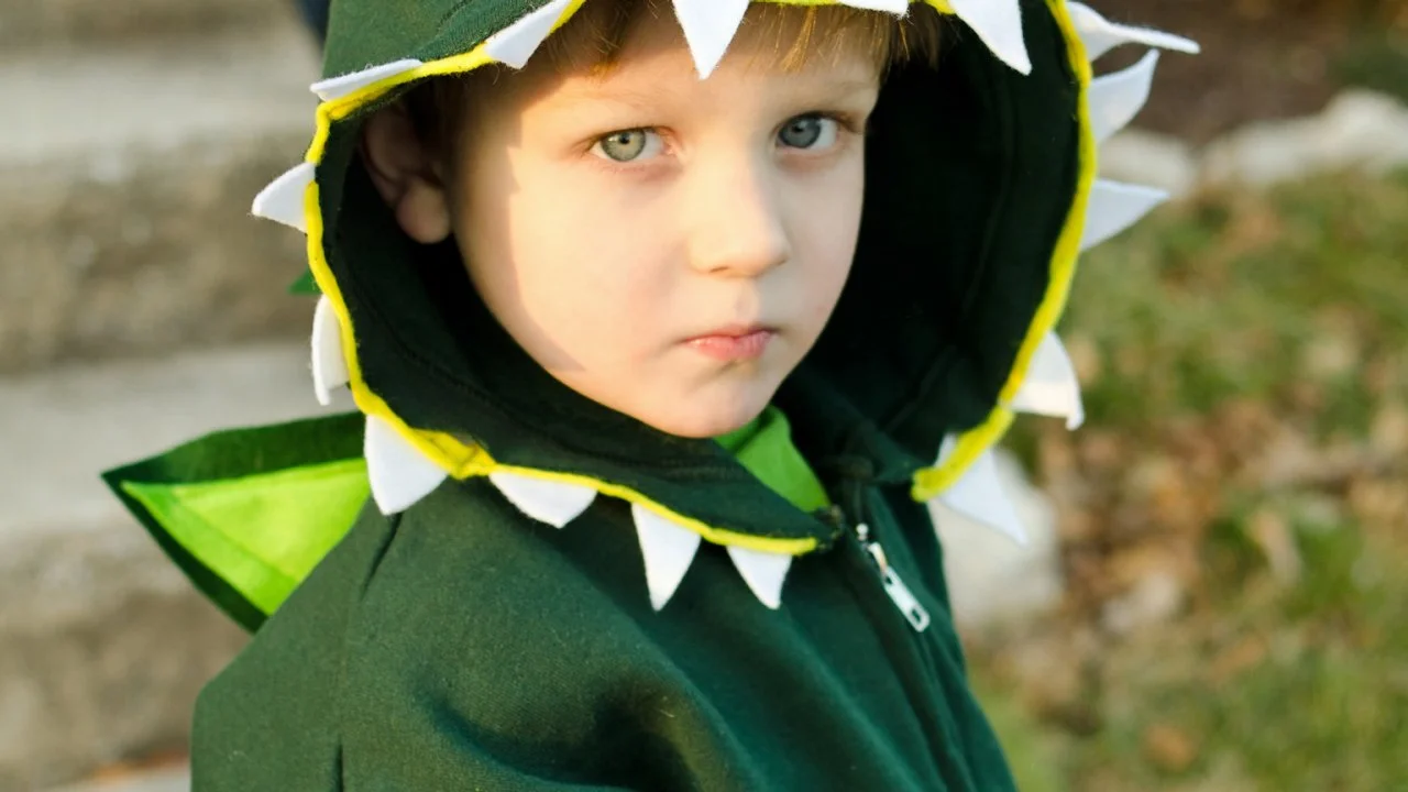 Easy DIY Kids Dinosaur Costume | HGTV
