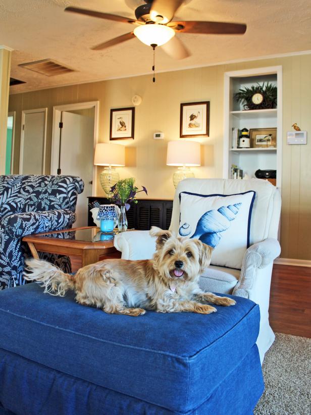 Coastal Living Room With Dog HGTV