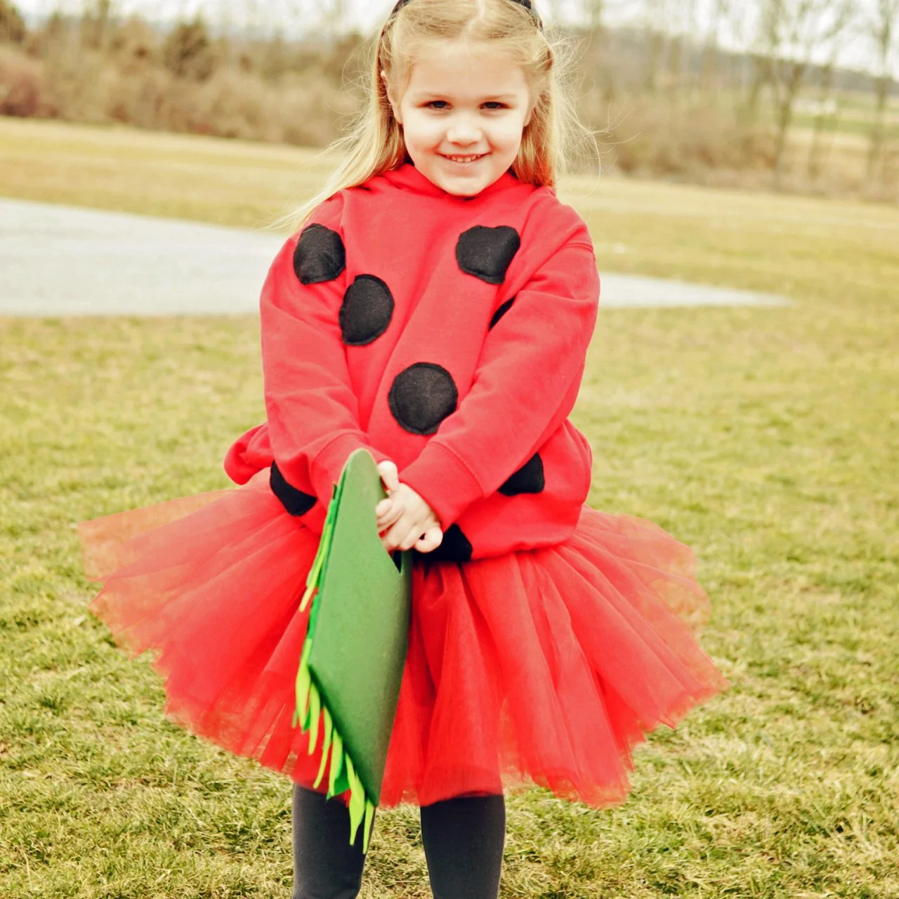 DIY Ladybug Costume for Halloween | HGTV