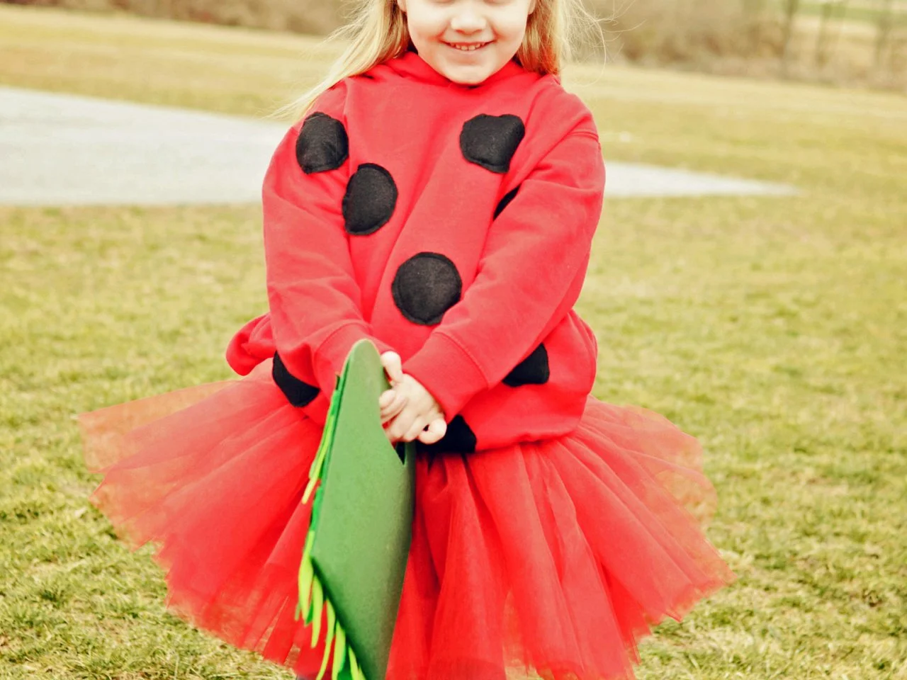 DIY Ladybug Costume for Halloween | HGTV