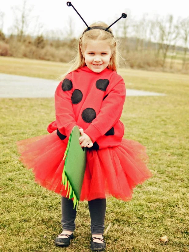 DIY Ladybug Costume for Halloween | HGTV