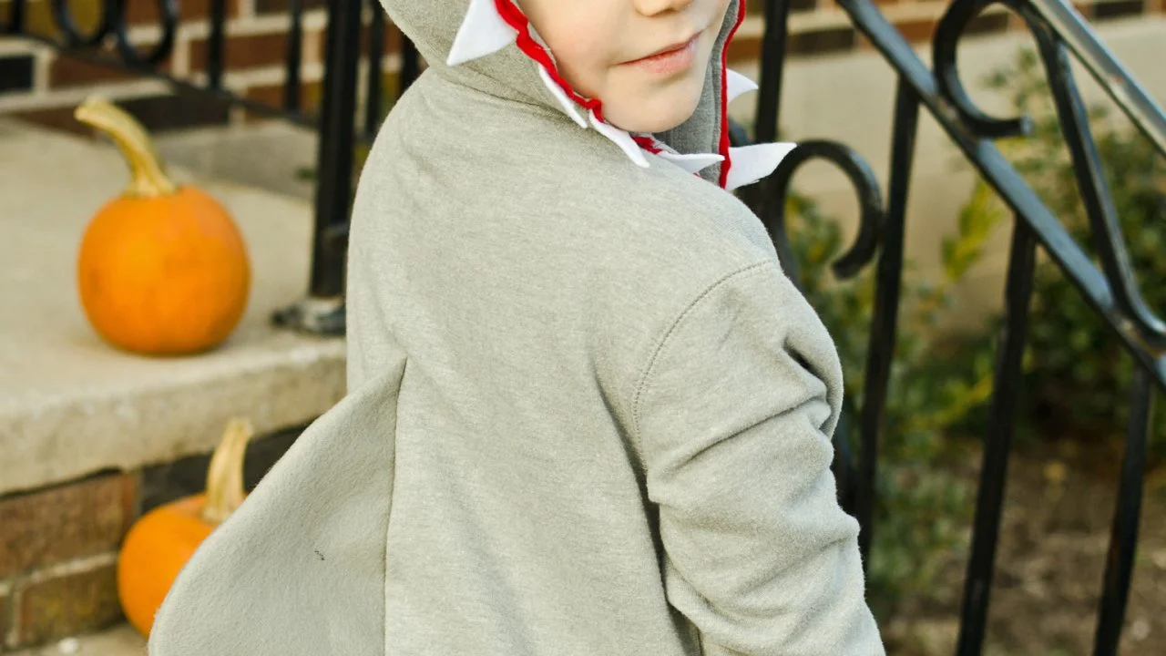 DIY Kids Shark Halloween Costume for Cheap | HGTV