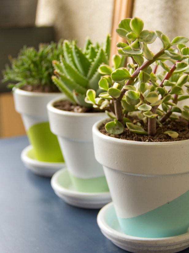 Potted succulents are a great giveaway at summer weddings and they're hearty, so guests will have a long-lasting reminder of your celebration. Extra credit: Customize the pots with paint like Chelsea Costa of <a target=&quot;blank&quot; href=&quot;http://www.hgtv.com/entertaining/diy-wedding-favors/pictures/index.html&quot;>Lovely Indeed</a> did here. If you use your wedding colors, these can double as centerpieces during the reception!