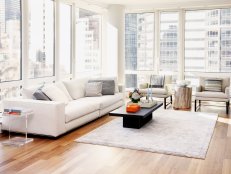 Modern Living Room With Sleek Furniture and Walls of Glass Windows 