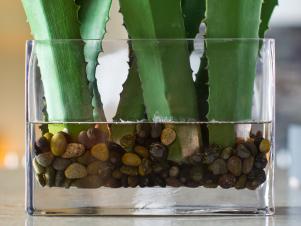 UO2013_kitchen-04-EPP1789-cactus-vase_v