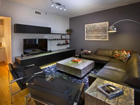 Gray Contemporary Living Room