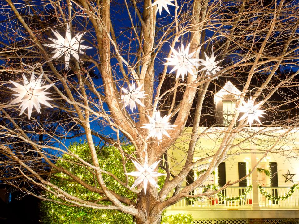 outdoor garden christmas lights