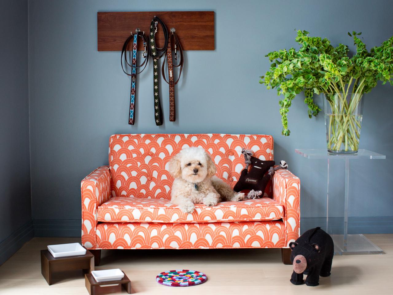 19 Awesome Dog Spaces + 5 Dog Treat Recipes | HGTV's ...