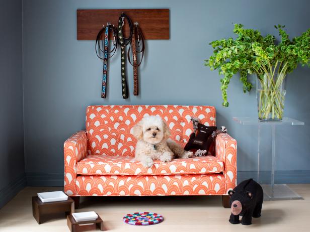 Stylish Dog Beds Interior Design Apps For Mac