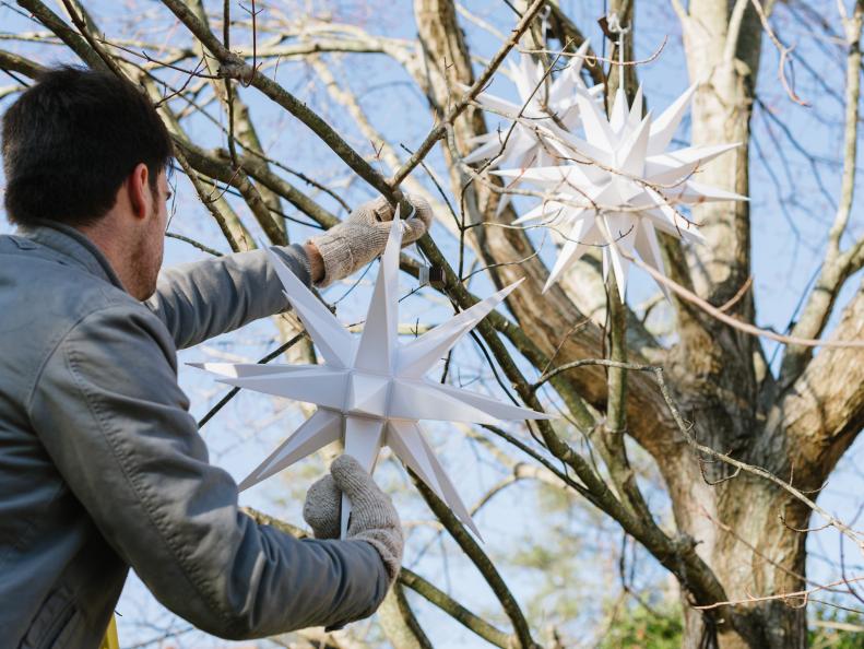 Dan Faires hangs Moravian stars in a tree