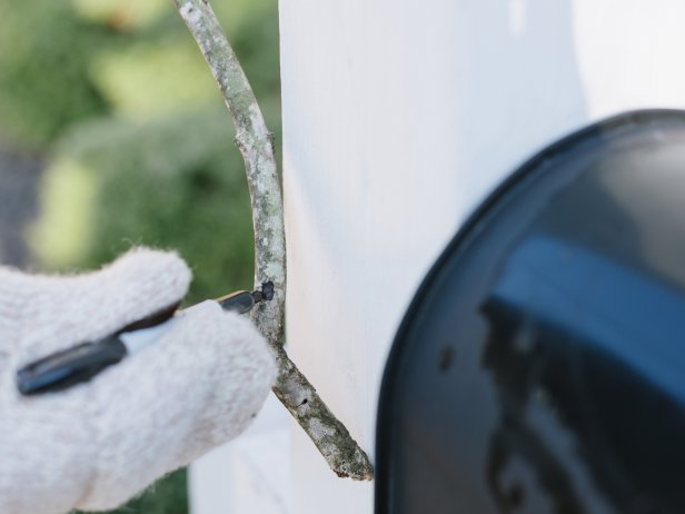 Marking and Measuring Branches on Mailbox