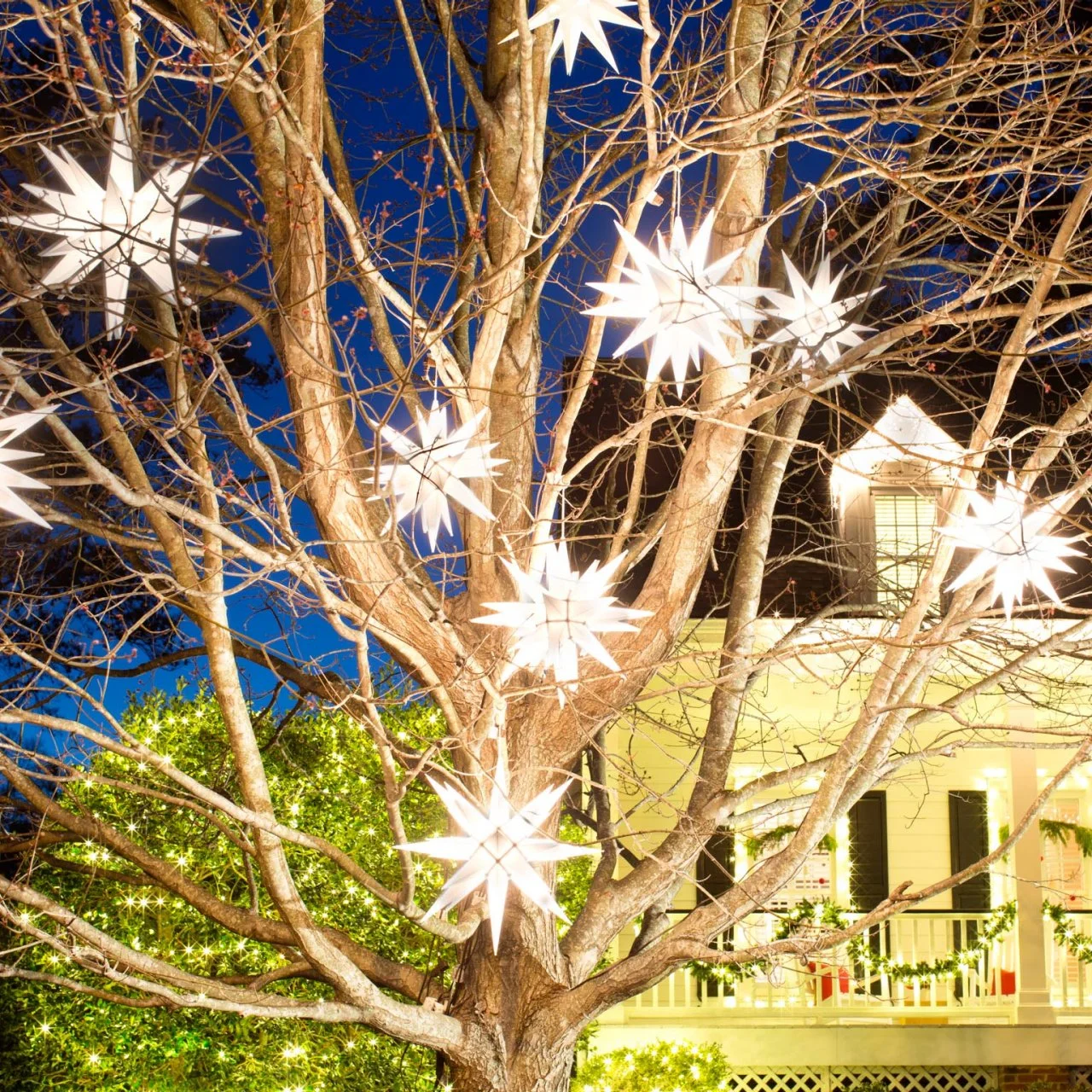 Outdoor Christmas Lights HGTV