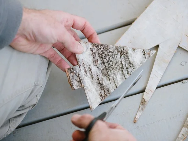 Cut and Assemble Birch Bark Tree Silhouettes
