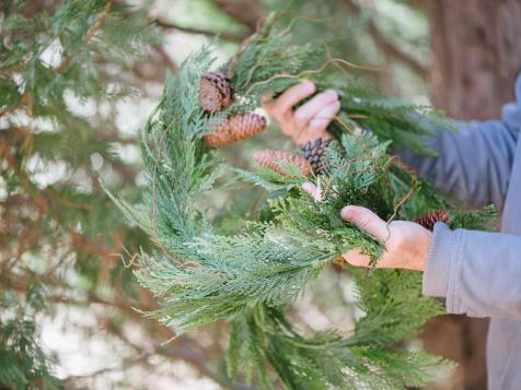 Dress Up Windows With Tree Cuttings and Ornaments