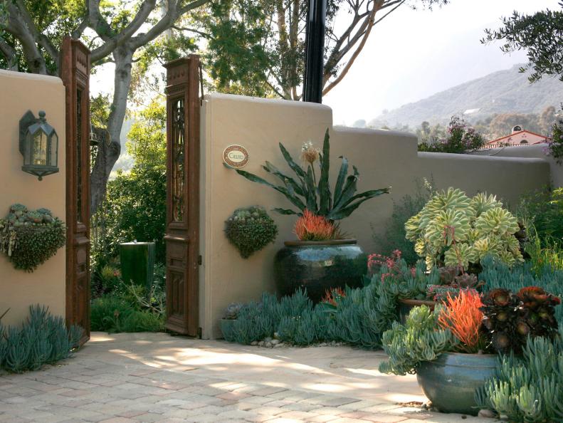 Desert Landscaping Ideas & Tips to Transform Your Home | HGTV