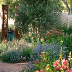 Colorful Garden With Olive Trees