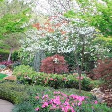 Colorful Asian-Themed Garden With Japanese Maples