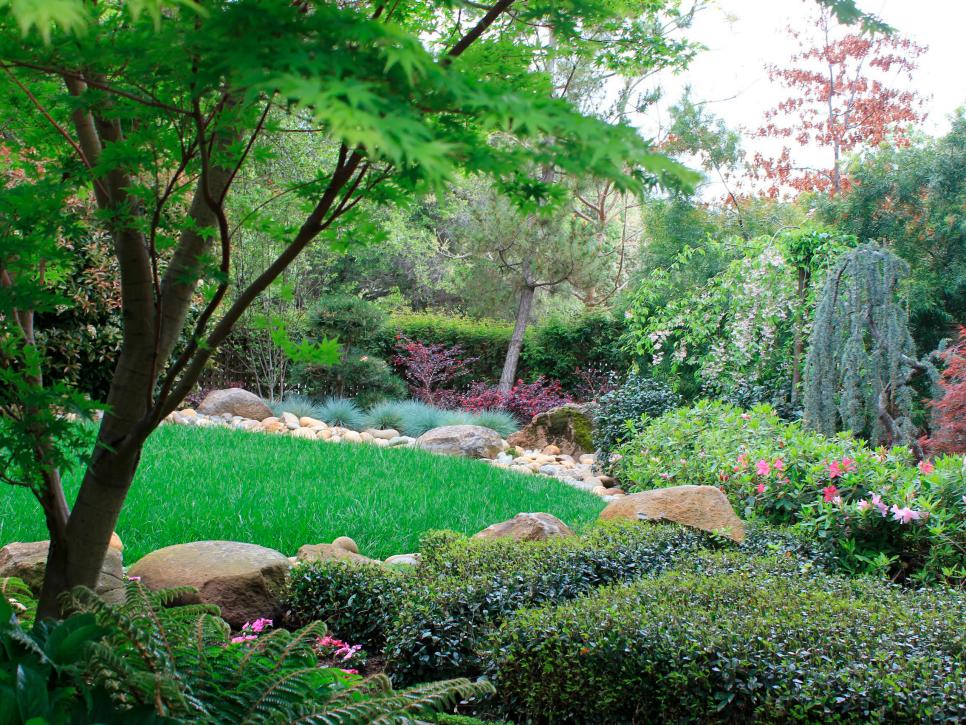 Lush Garden Oasis
