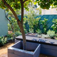 Painted Wood Planter Box With Fruit Tree