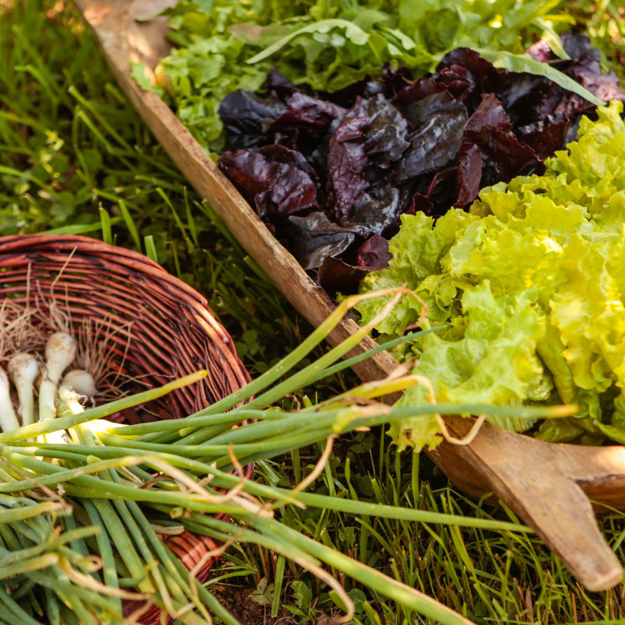 The Clever Hack That Will Keep Your Lettuce Fresh