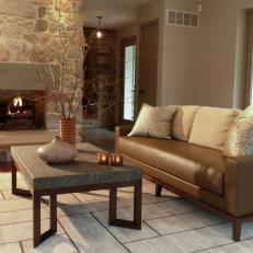 Shades of Brown in Contemporary Sitting Room