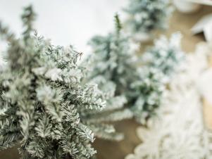 Frosted Christmas Trees