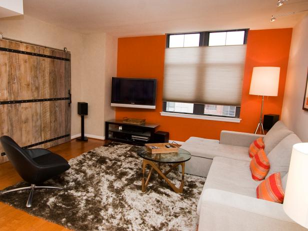 Neutral Contemporary Living Room with Orange Wall, Shag Rug and Sliding Barn Door