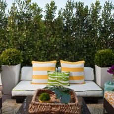 Bright Yellow and Green Patterns in Patio 