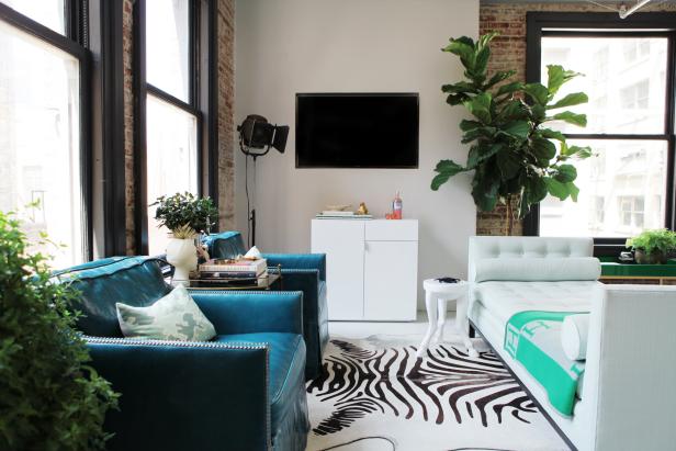 White Contemporary Living Space With Houseplant and Blue Chairs