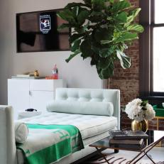 Transitional Chaise & Fiddle Leaf Fig Tree