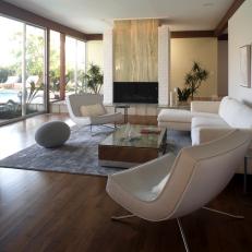 Mod Living Room With Walnut Floors and Marble Fireplace