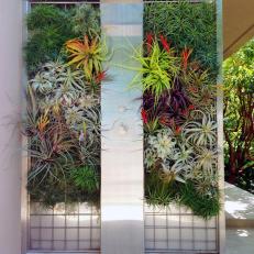 Vertical Garden Creates Showstopping Shower