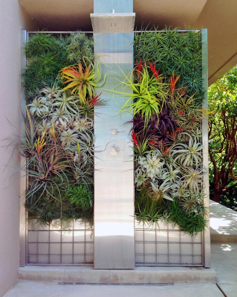 Modern Outdoor Shower With Vertical Garden Backdrop