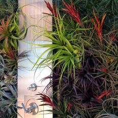 Vertical Garden Brings Outdoor Shower to Life