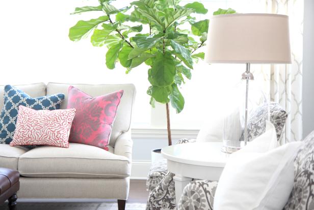 Neutral Sofa With Multicolored Patterned Pillows and Houseplant