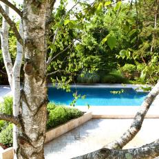 Backyard with Inground Pool, Stone Patio and Tree