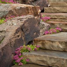 Rugged Stone Steps With Pink Flowering Plants