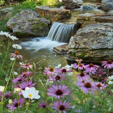Waterfall Framed by Coneflowers