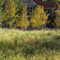 Tall Grasses & Autumn Trees Create Back Porch Scenery