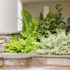 Stone Edging With Bright Green Plants Add Texture