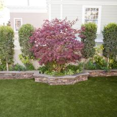 Backyard Landscape With Red Japanese Maple Tree 