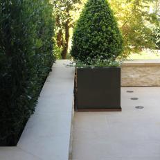 Limestone Patio With Architectural Topiary