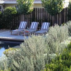 Outdoor Pool and Lounge Area With Fragrant Native Plants