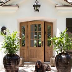 Tropical Home Entrance With Potted Plants